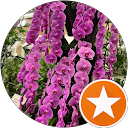 Erica Tan profile picture